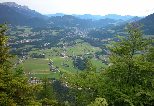 DSCN4103