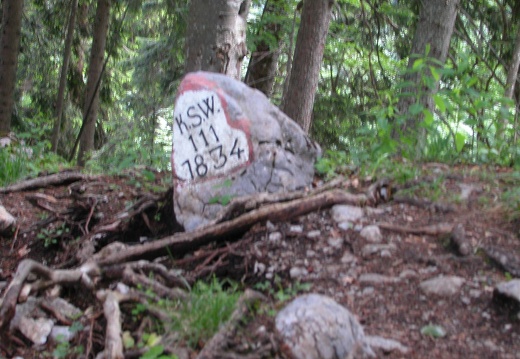 DSCN4110