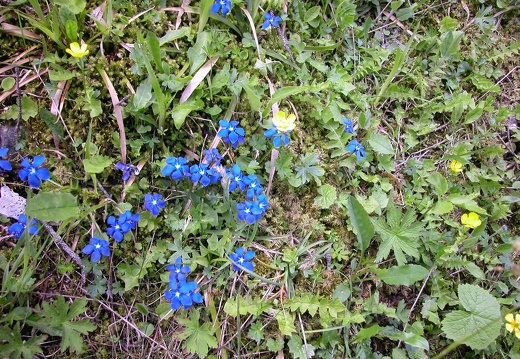 DSCN4129
