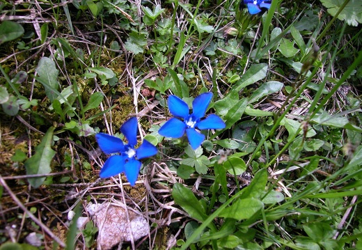 DSCN4131