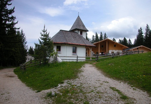 DSCN4133