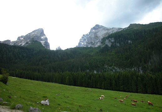 DSCN4134