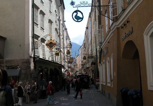 DSCN4149
