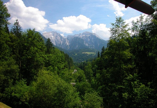 DSCN5549