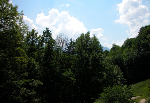 DSCN5551