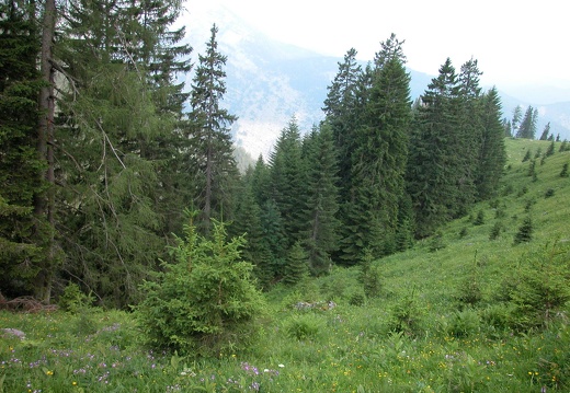 DSCN5639