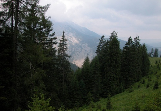 DSCN5650