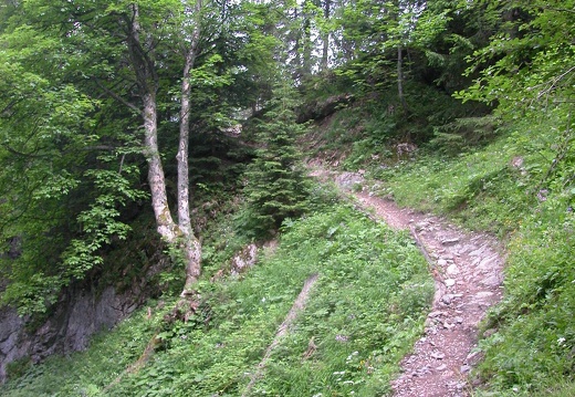 DSCN5651