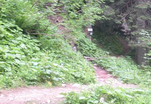 DSCN5654