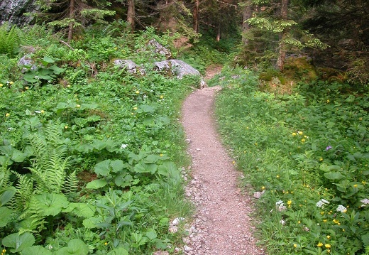 DSCN5662