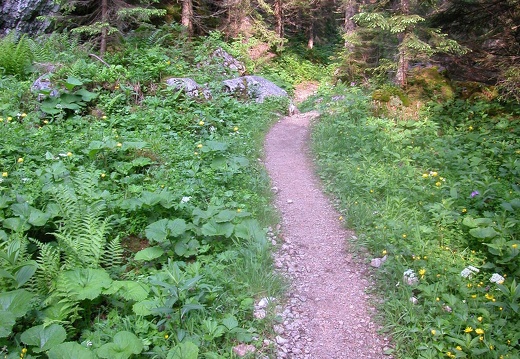 DSCN5663