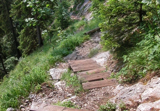 DSCN5664