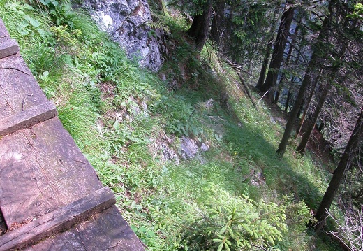 DSCN5672