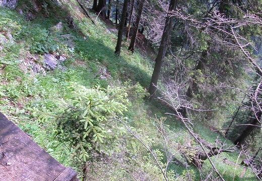 DSCN5677