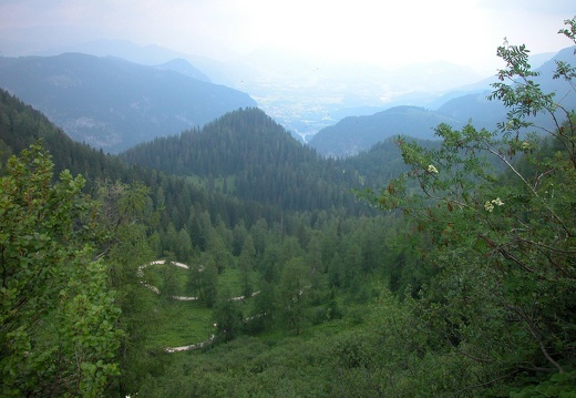 DSCN5684