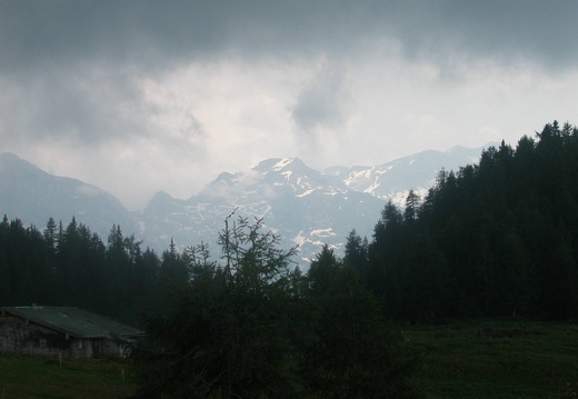 DSCN5686