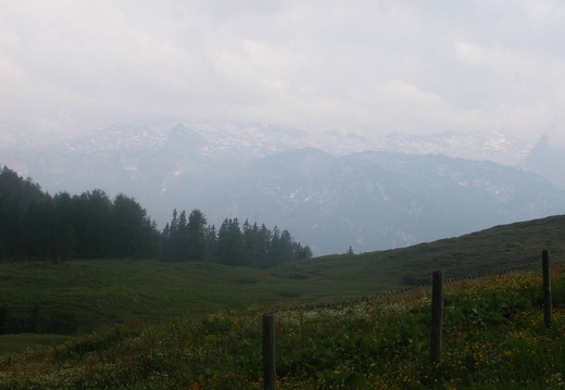 DSCN5688