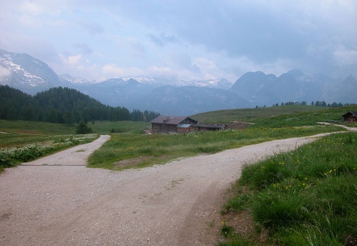 DSCN5689
