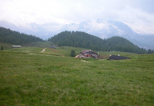DSCN5692