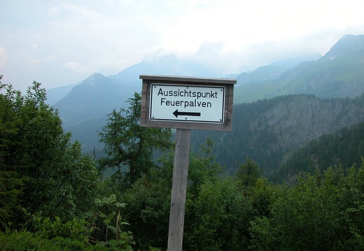 DSCN5693