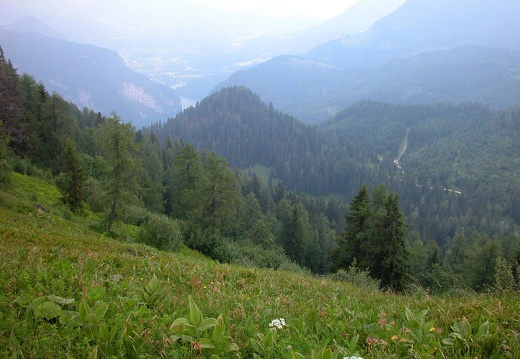 DSCN5695