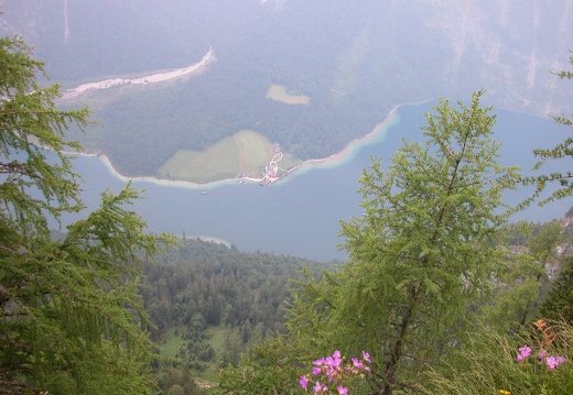 DSCN5696