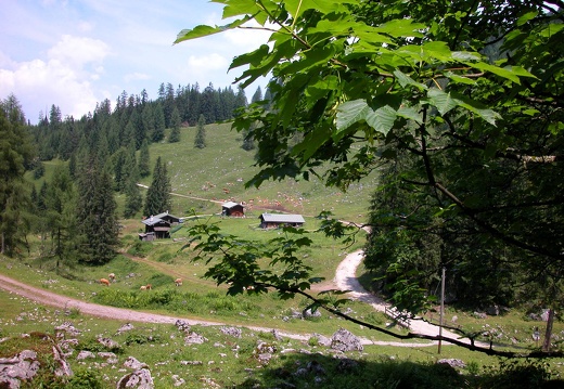 DSCN5704