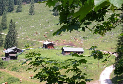 DSCN5705
