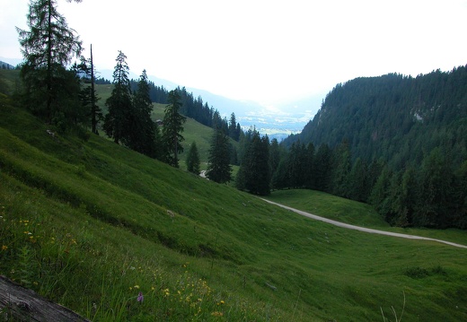 DSCN5711