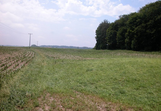 DSCN5755