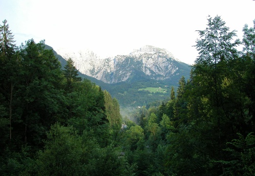DSCN5781
