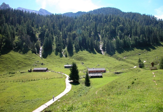 DSCN6172