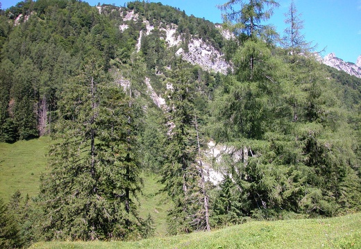 DSCN6173