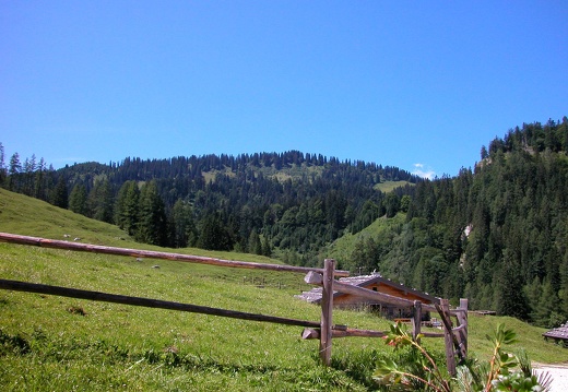 DSCN6175