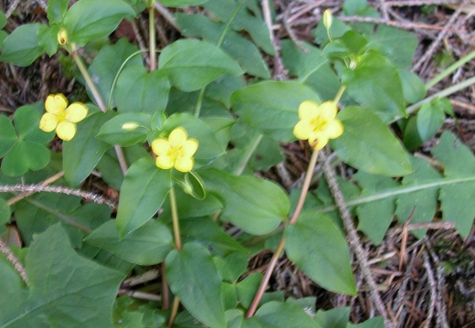 DSCN6193