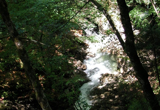 DSCN6204