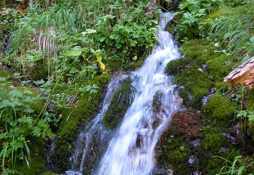 DSCN6208