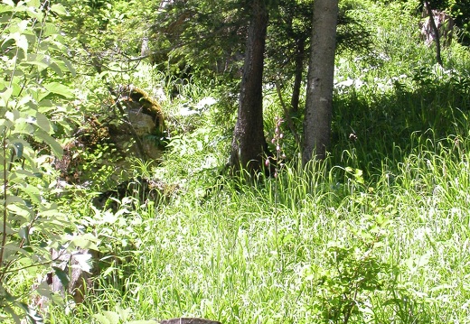 DSCN6221