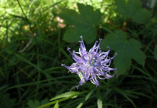 DSCN6241
