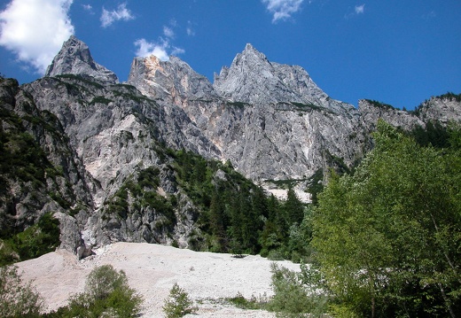 DSCN6245