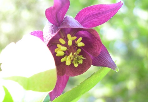 DSCN6272