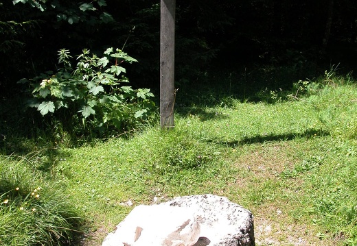 DSCN6293