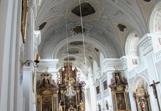 DSCN6317