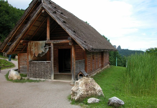DSCN6331