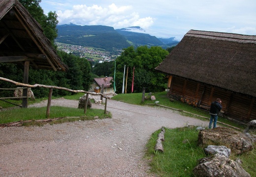 DSCN6332