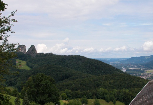 DSCN6336