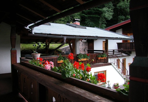 DSCN6374