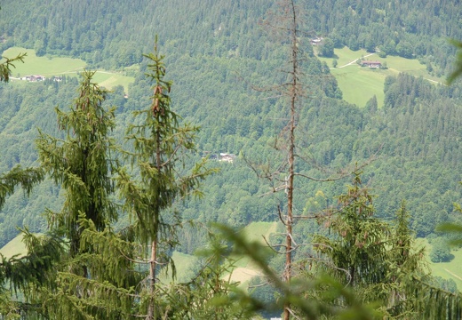 Watzmannhaus