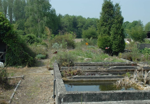 DSC 2722