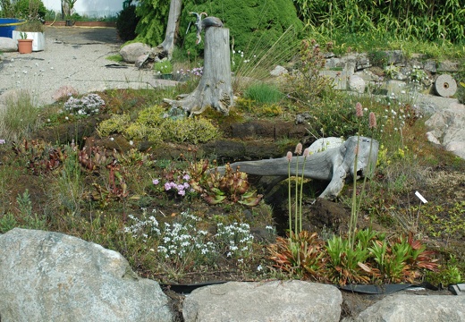 DSC 2731